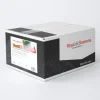 Amandel Marsepein 1:3 Naturel WM (rol kwaliteit) Damco 10kg