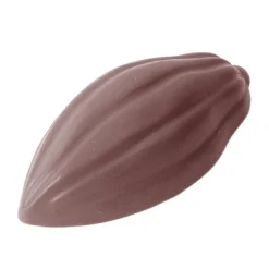 Bonbonvorm Chocolate World Cacaoboon (16x) 50x24x12mm
