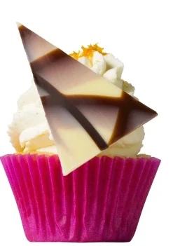 Callebaut Chocoladedecoratie Jura Punt 500st.