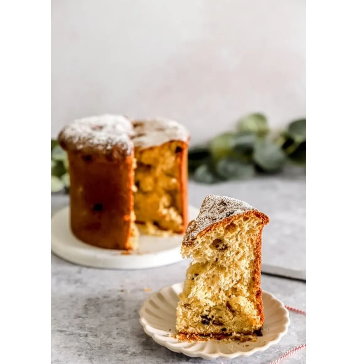 Canasta/Panettone Bakvorm Ø16x11(h) cm 5 stuks