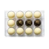 Chocolade Holvorm Halve Bol (12x) Ø50 mm