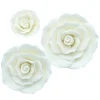 Culpitt Gumpaste Witte Rozen Assortiment 3st