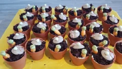 Dobla Chocoladedecoratie Bloempot Large (28 stuks)