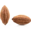 Dobla Chocoladedecoratie Cacaoboon (20 stuks)