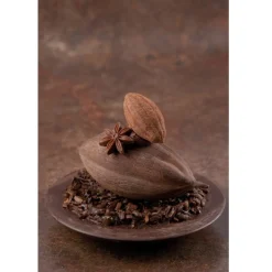 Dobla Chocoladedecoratie Cacaoboon (20 stuks)