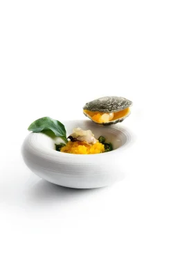 Dobla Chocoladedecoratie Oester (12 stuks)