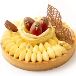 Dobla Chocoladedecoratie Roodborstje (36 stuks)**