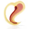 Dobla Chocoladedecoratie Sweet Hart (64 stuks)