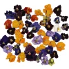 Eetbare Gedroogde Viooltjes (50 stuks)