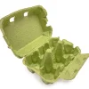 Eierdoos Groen 6 Eieren