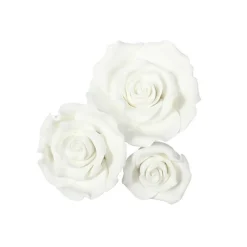Fondant Rozen Wit Assortiment 12 stuks