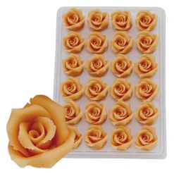 Marsepein Rozen Zalm 6-blads 25mm (24 st.)