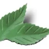 Ouwel Blaadjes Gekarteld Groen 38mm (1000st)