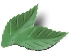 Ouwel Blaadjes Gekarteld Groen 38mm (1000st)