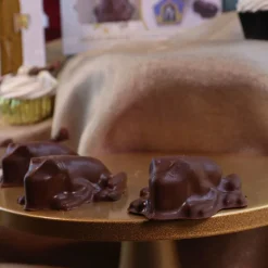 PME Harry Potter Chocolademal Honeyduke's Chocolade Kikker