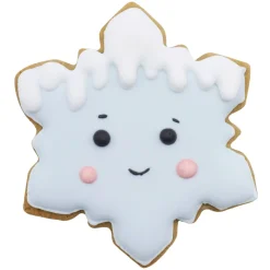 PME Koekjes Uitstekers Sneeuwvlokken Set/3