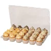 PME Plastic Cupcakehouders (24) Set/3