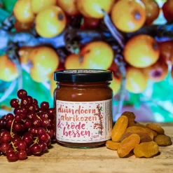 ReggeVallei Taartvulling Abrikozen-Rode Bessen 250g