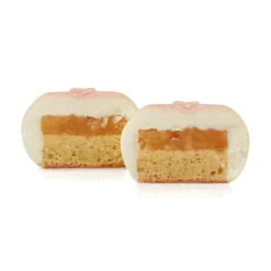 Siliconen Vorm Wagashi 34x18x3,7cm (Dinara Kasko)