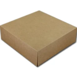 Taartdoos 21x21x8cm. Kraft 3st