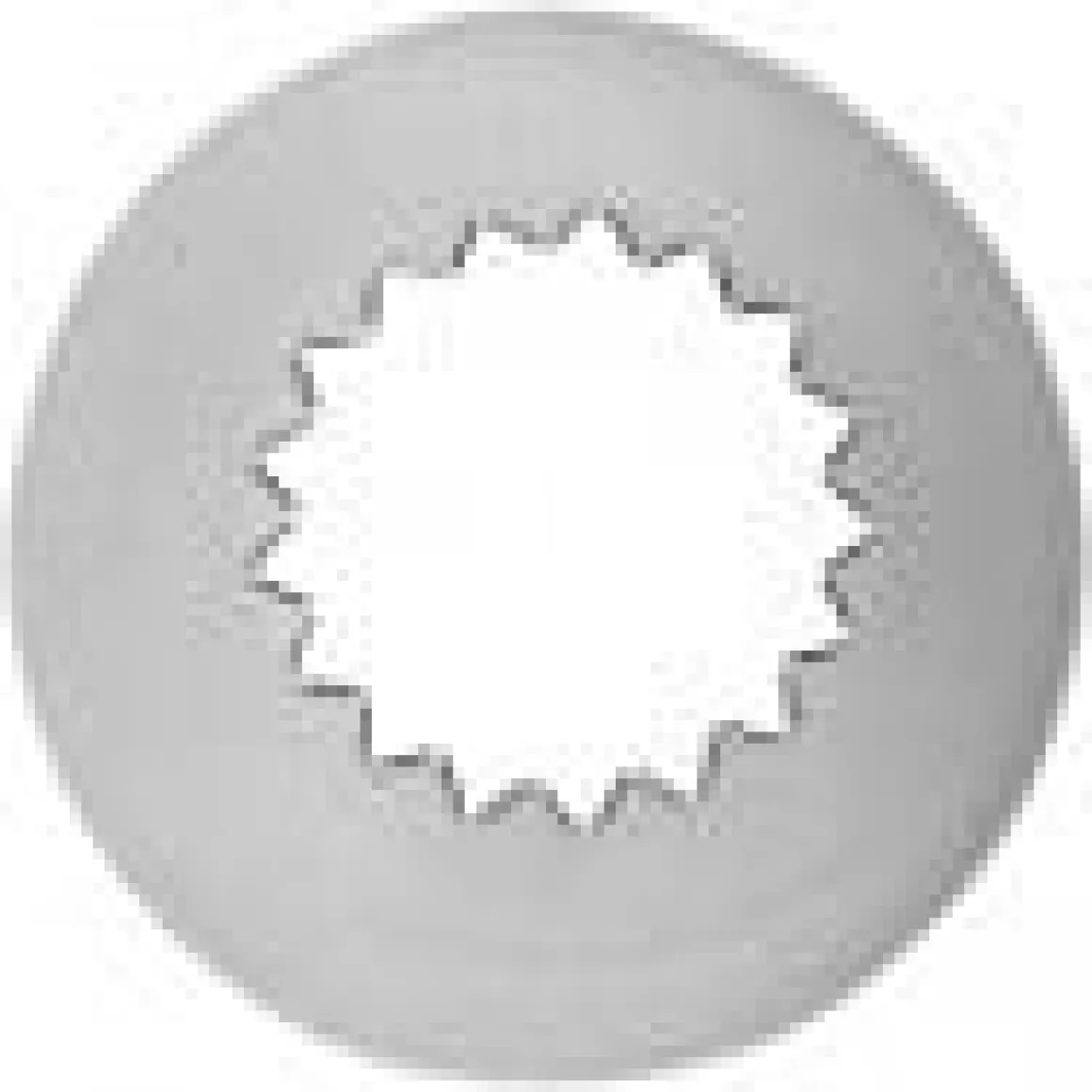 Wilton Spuitmondje 8B
