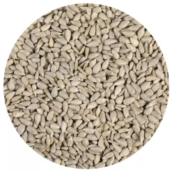 Zonnebloempitten 3kg